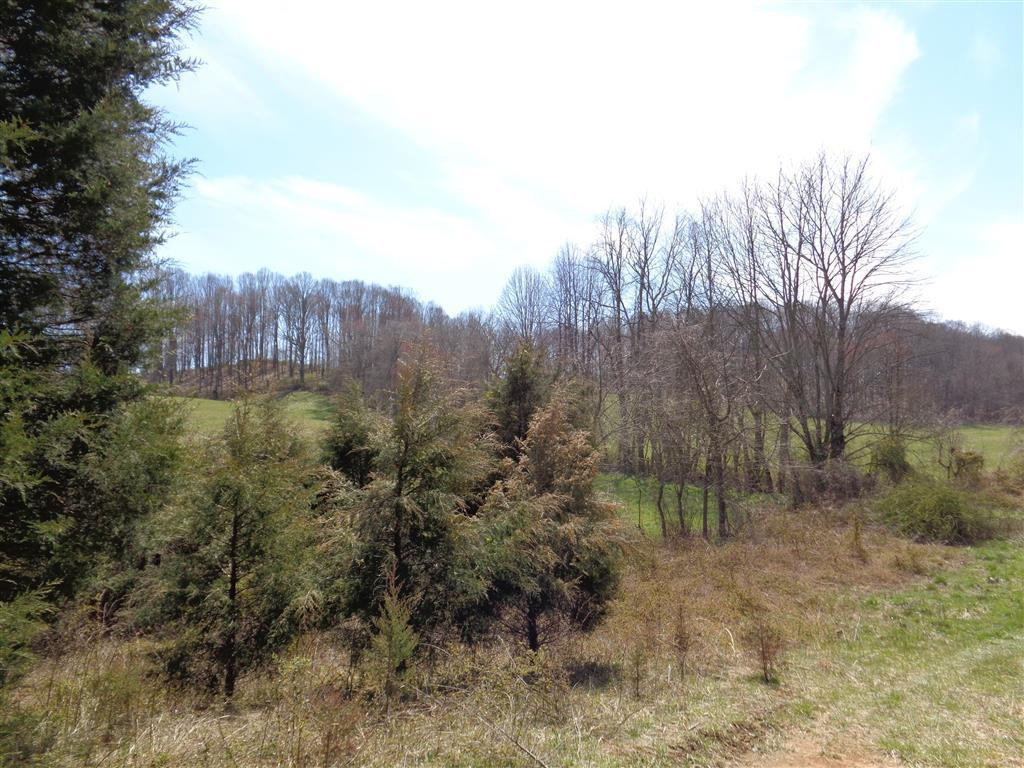 Tba Reedy Creek Road Bristol, VA 24202 - Photo 6 of 21 Photo 6