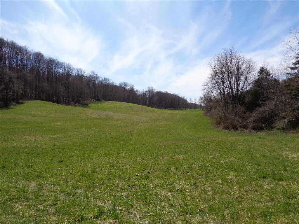 Tba Reedy Creek Road Bristol, VA 24202 - Photo 8 of 21 Photo 8