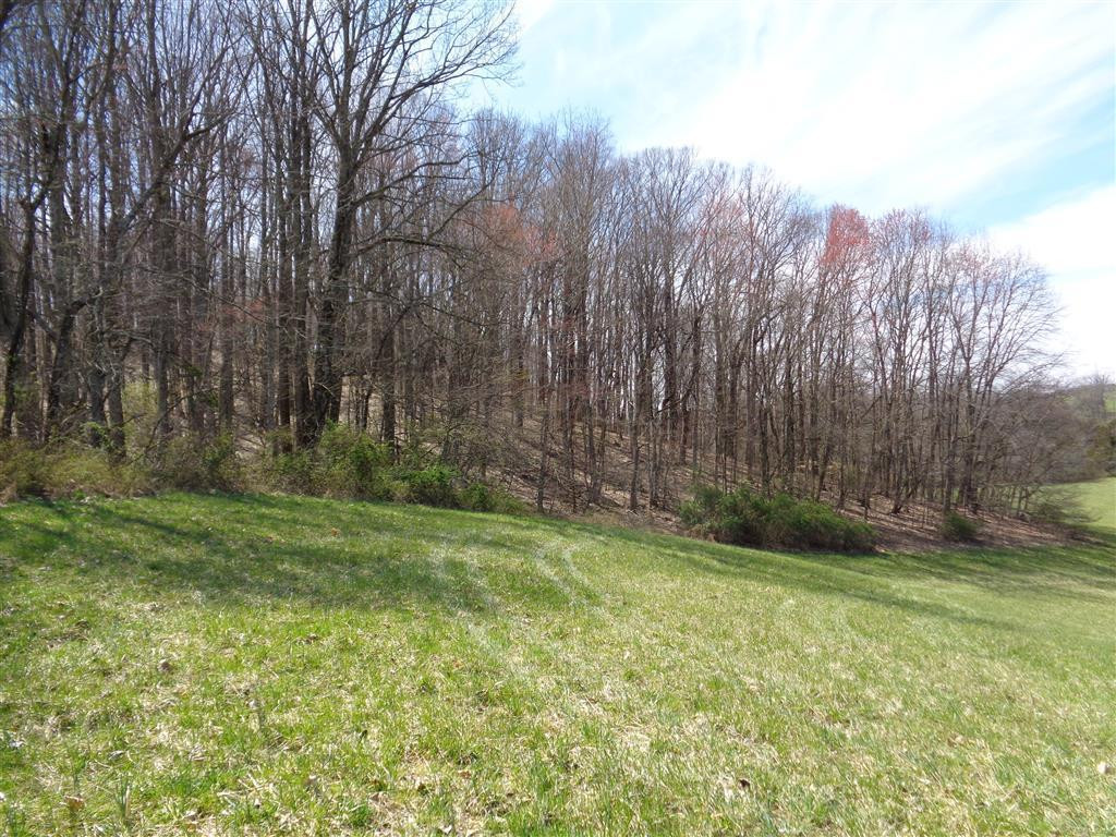Tba Reedy Creek Road Bristol, VA 24202 - Photo 9 of 21 Photo 9