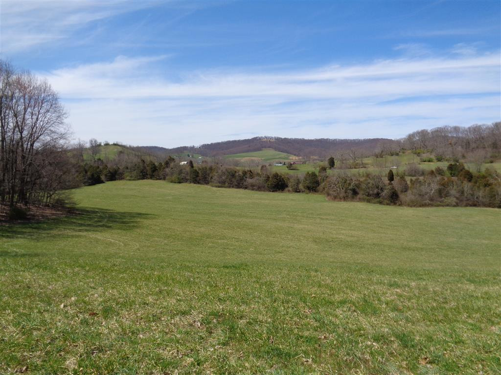 Tba Reedy Creek Road Bristol, VA 24202 - Photo 10 of 21 Photo 10