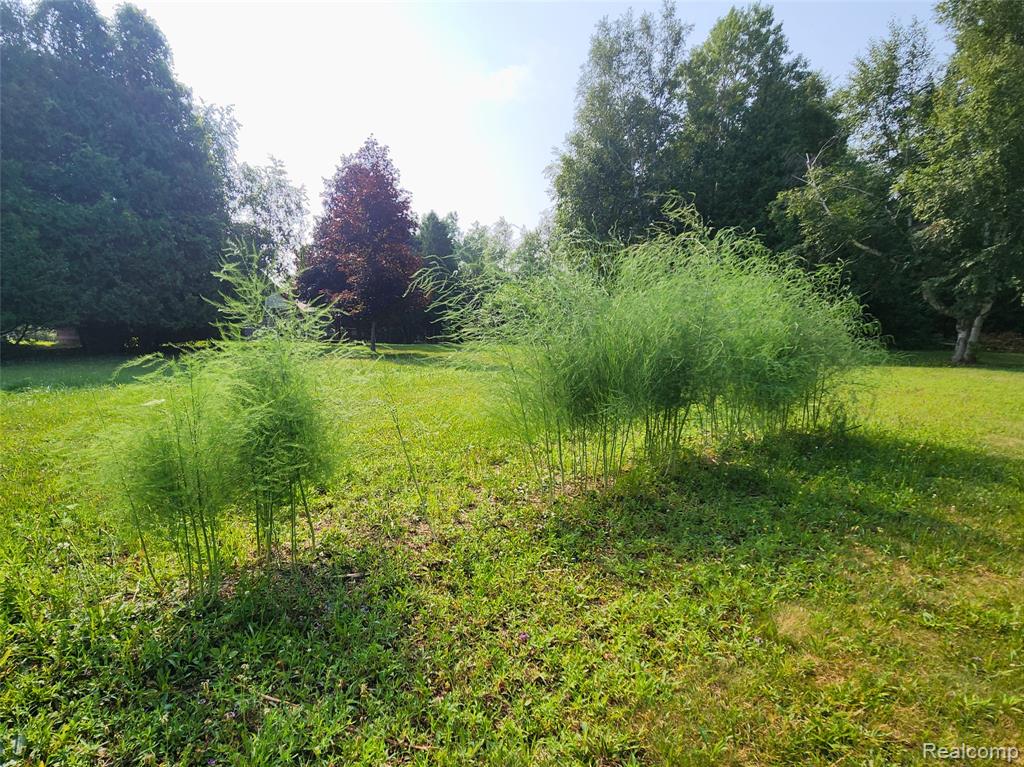 5665 White Creek Road Marlette, MI 48453 - Photo 35 of 42 Gallery Image 35