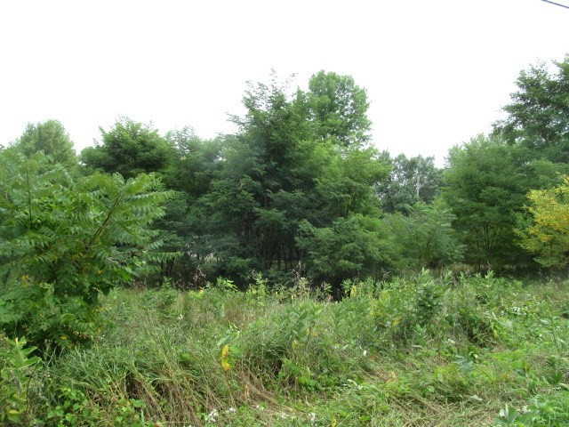 V/l Oakpoint Road Jackson, MI 49201 - Photo 9 of 11