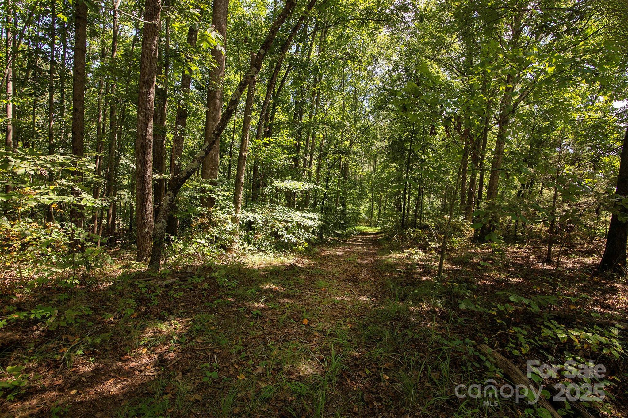 8430 Reeps Grove Church Road Vale, NC 28168 - Photo 40 of 42 a view of a yard