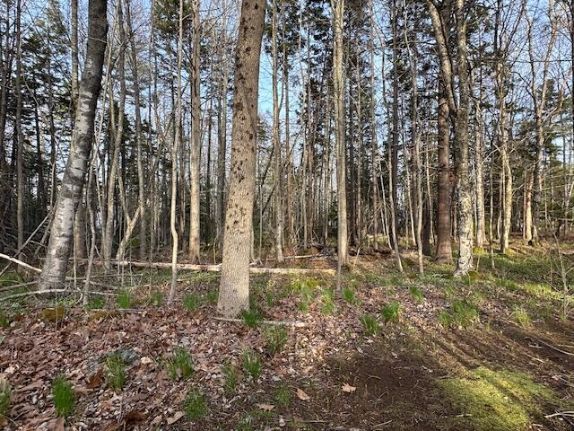 0 Harbor Road Camden, ME 04843 - Photo 6 of 11 IMG_9274