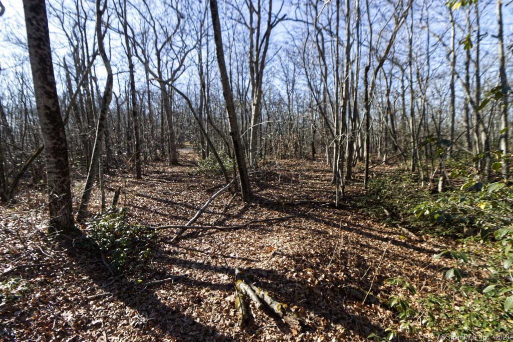 0 Carter Road Warren, CT 06754 - Photo 1 of 1