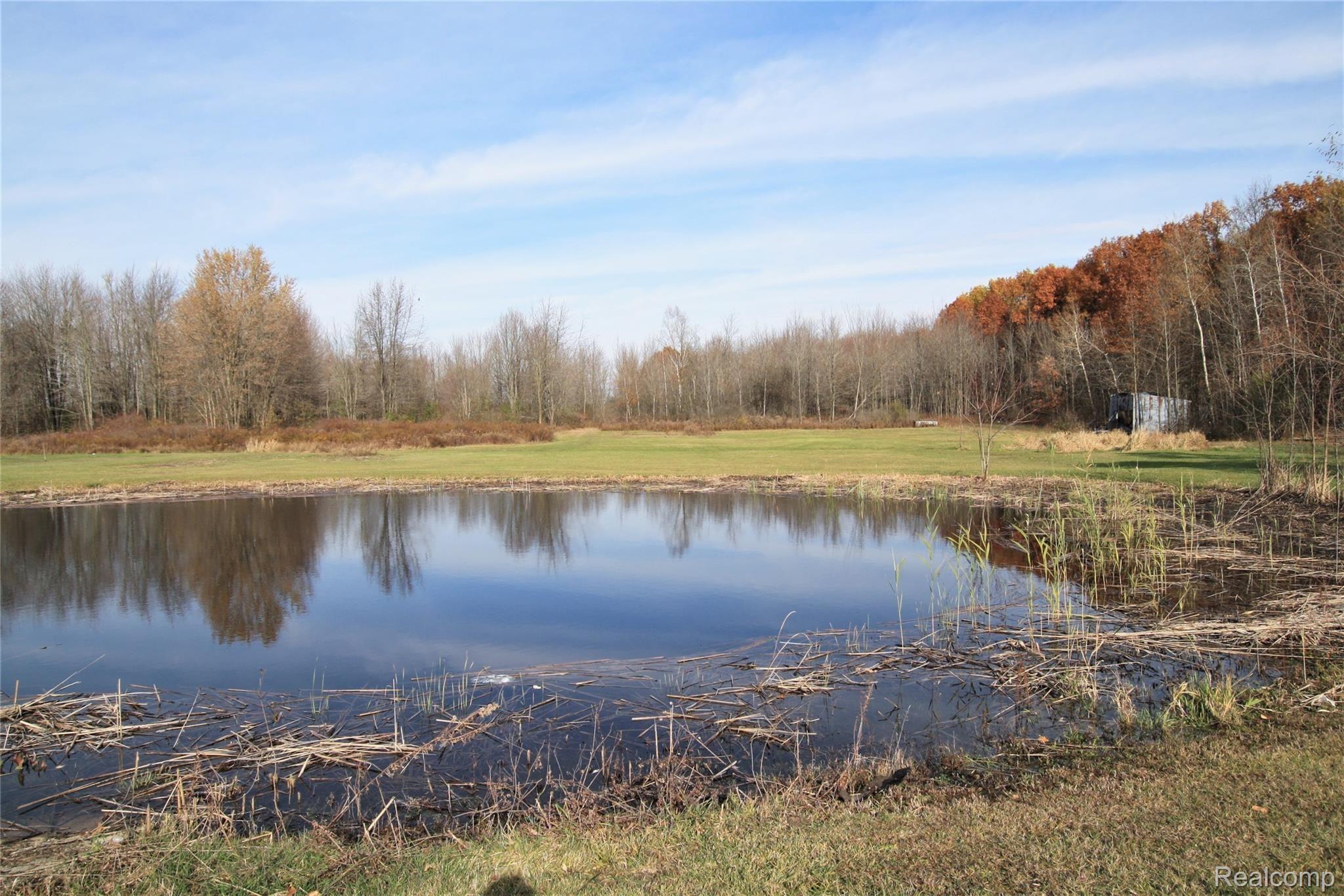 11260 Rose Road Emmett, MI 48022 - Photo 7 of 39 IMG_4587.JPG