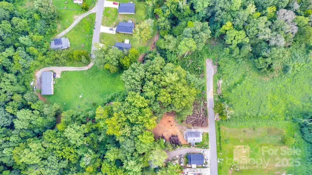 a backyard of a multi story tree