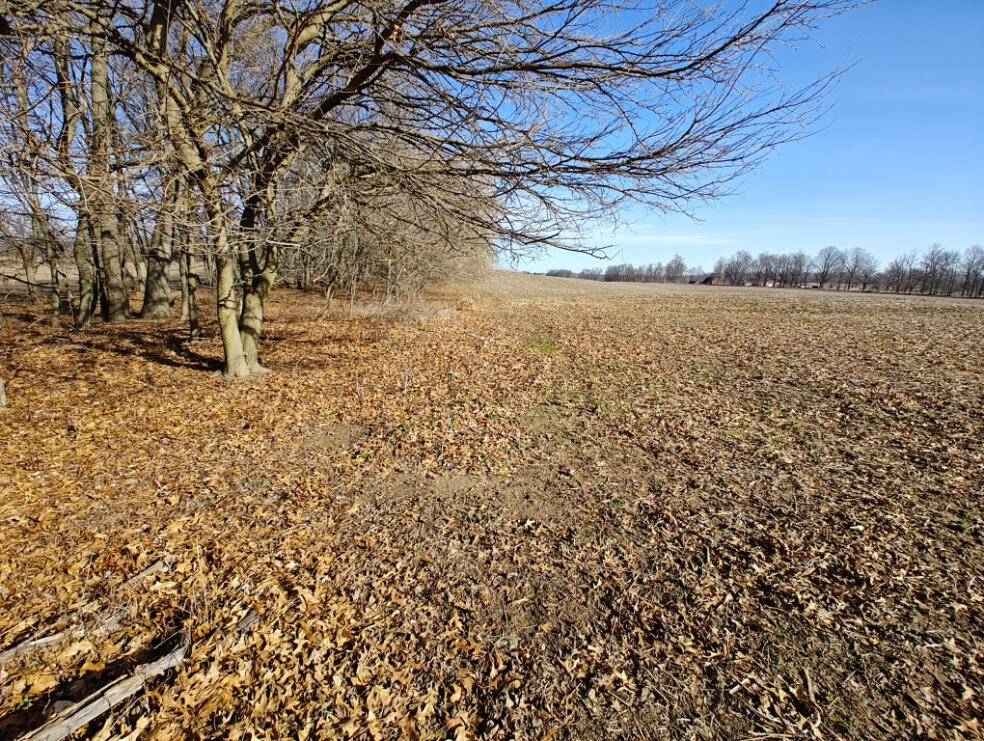 24 24 Mile Road Battle Creek, MI 49014 - Photo 18 of 56
