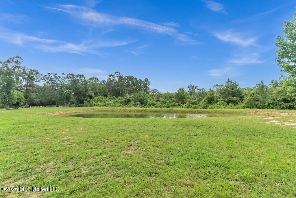 83 Walker Cemetery Road Perkinston, MS 39573 - Photo 54 of 54 DSC04479