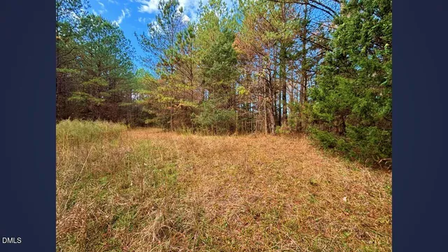 a view of outdoor space and a yard