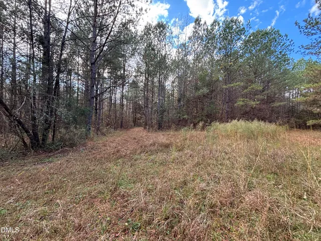 a view of a large yard with green space