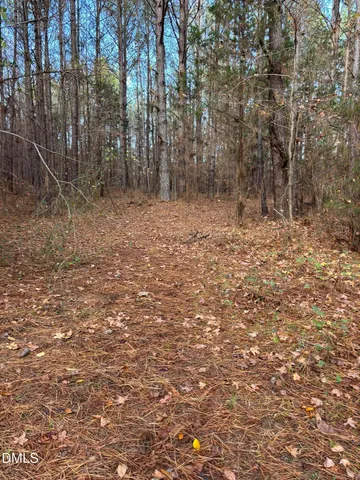 a view of a dry yard with trees