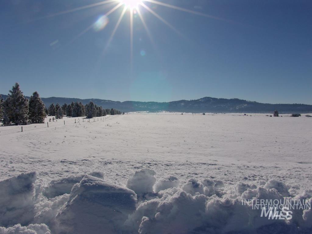 111 Sixty Lane Cascade, ID 83611 - Photo 40 of 50