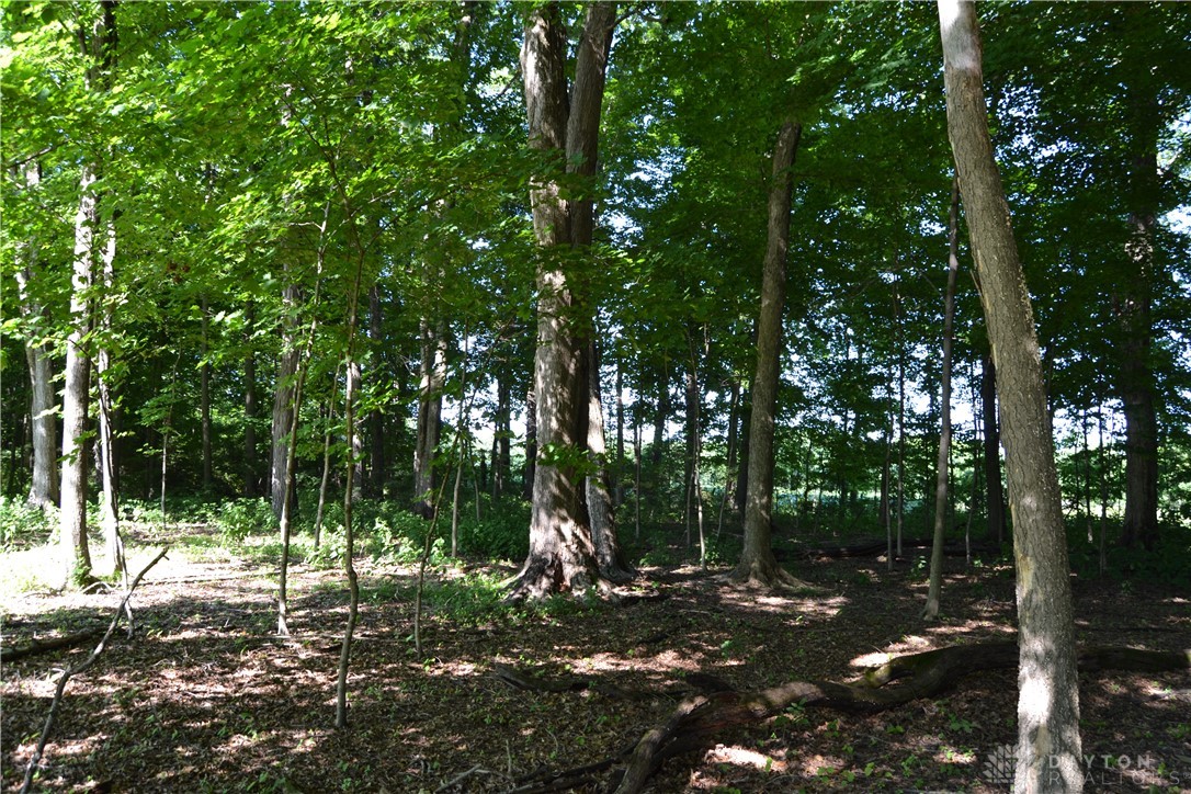 11-ac Case Road New Richmond, OH 45157 - Photo 6 of 19