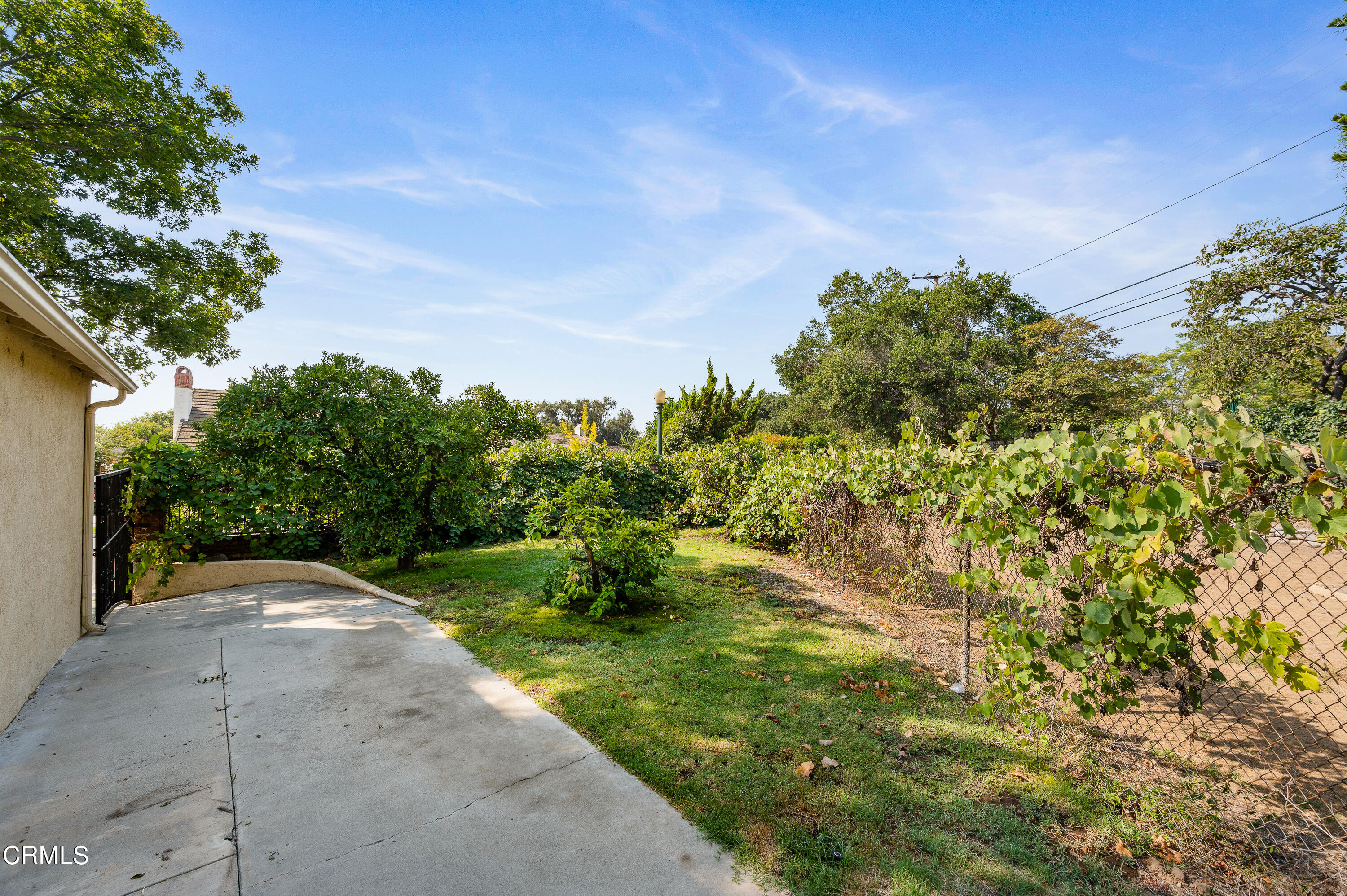 517 St Albans Road San Gabriel, CA 91775 - Photo 24 of 24 a backyard of a house with lots of green space and plants