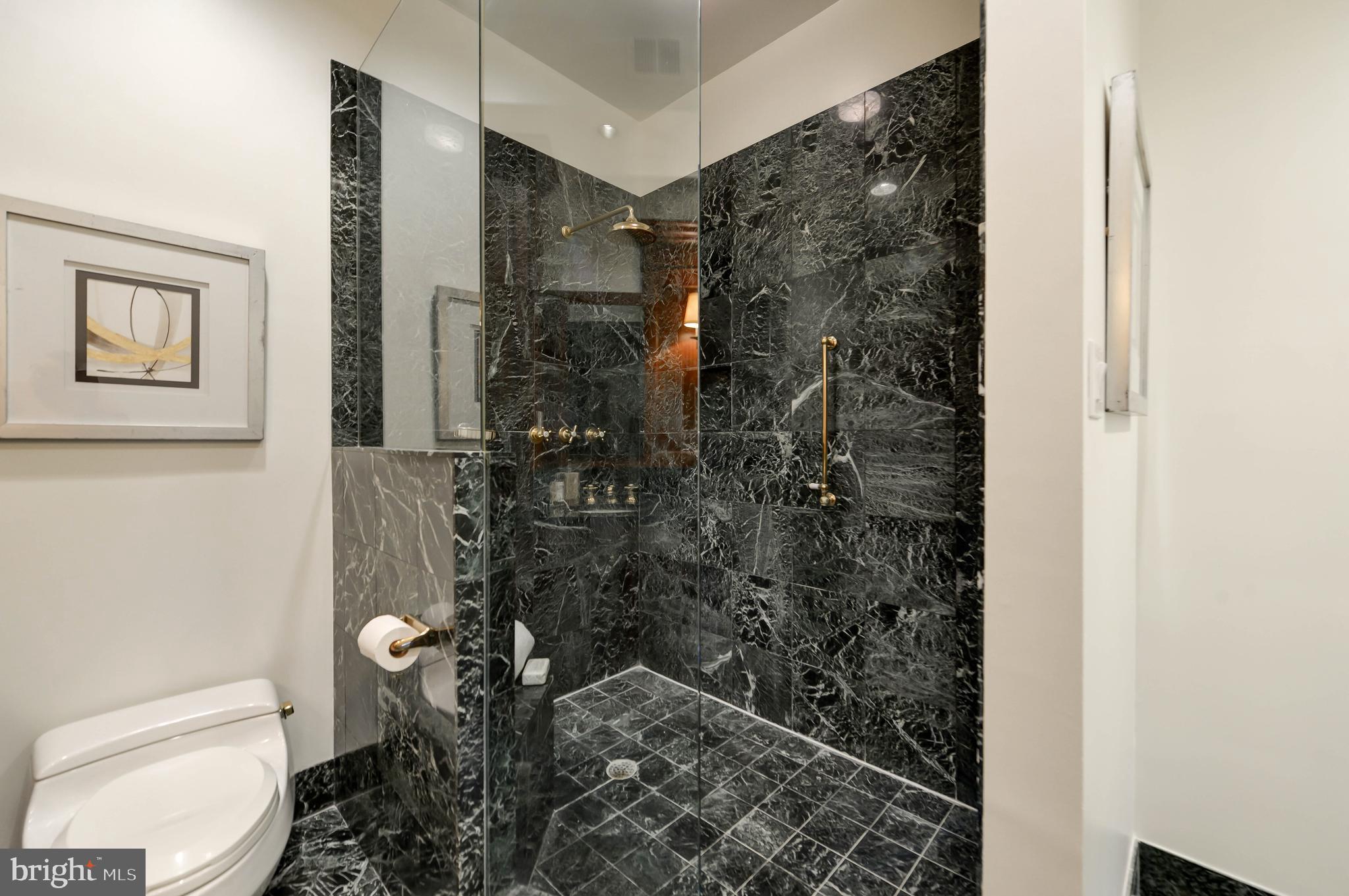 2130 Leroy Place Northwest Washington, DC 20008 - Photo 55 of 98