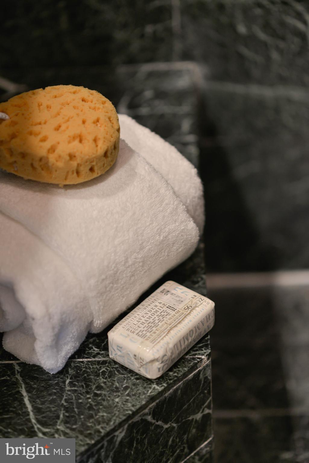 2130 Leroy Place Northwest Washington, DC 20008 - Photo 56 of 98