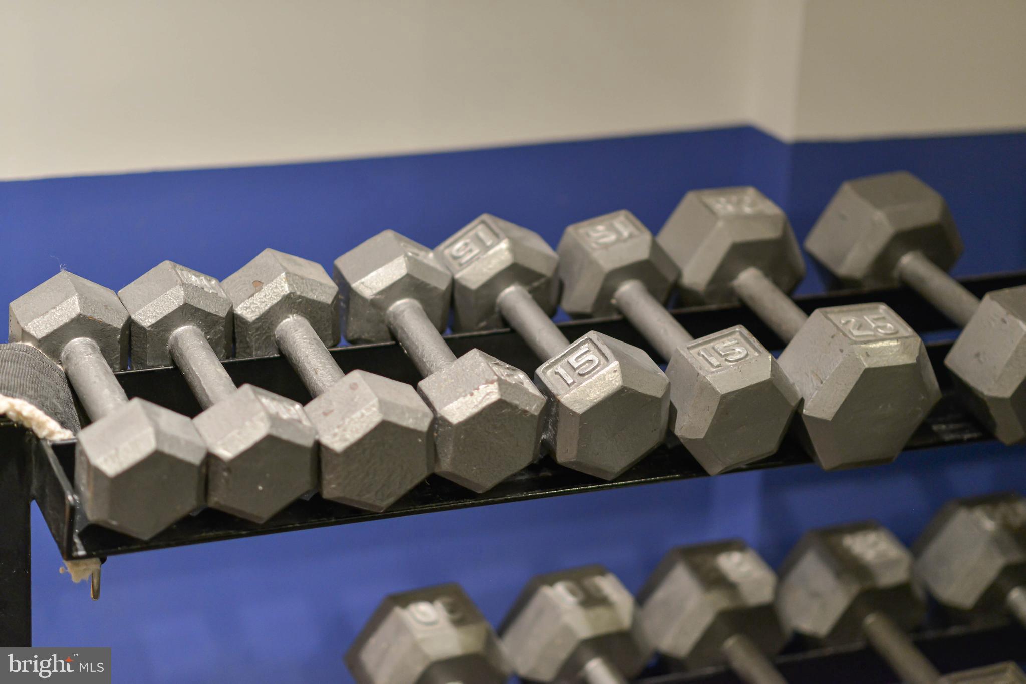 2130 Leroy Place Northwest Washington, DC 20008 - Photo 83 of 98