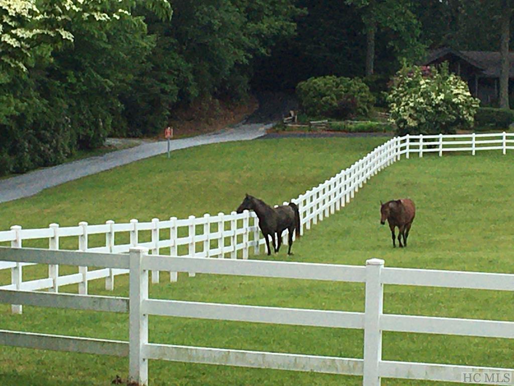 155 Pheasant Run Road Highlands, NC 28741 - Photo 3 of 22 Gallery Image 3