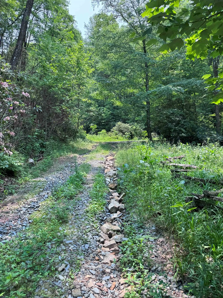 88-acres Bolden Branch Road Andrews, NC 28901 - Photo 4 of 34
