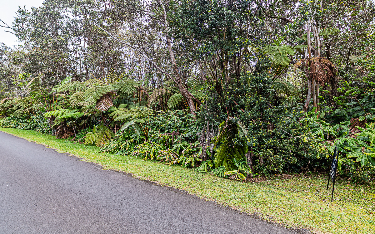 19-4132 Wright Road, Unit A Volcano, HI 96785 - Photo 2 of 9