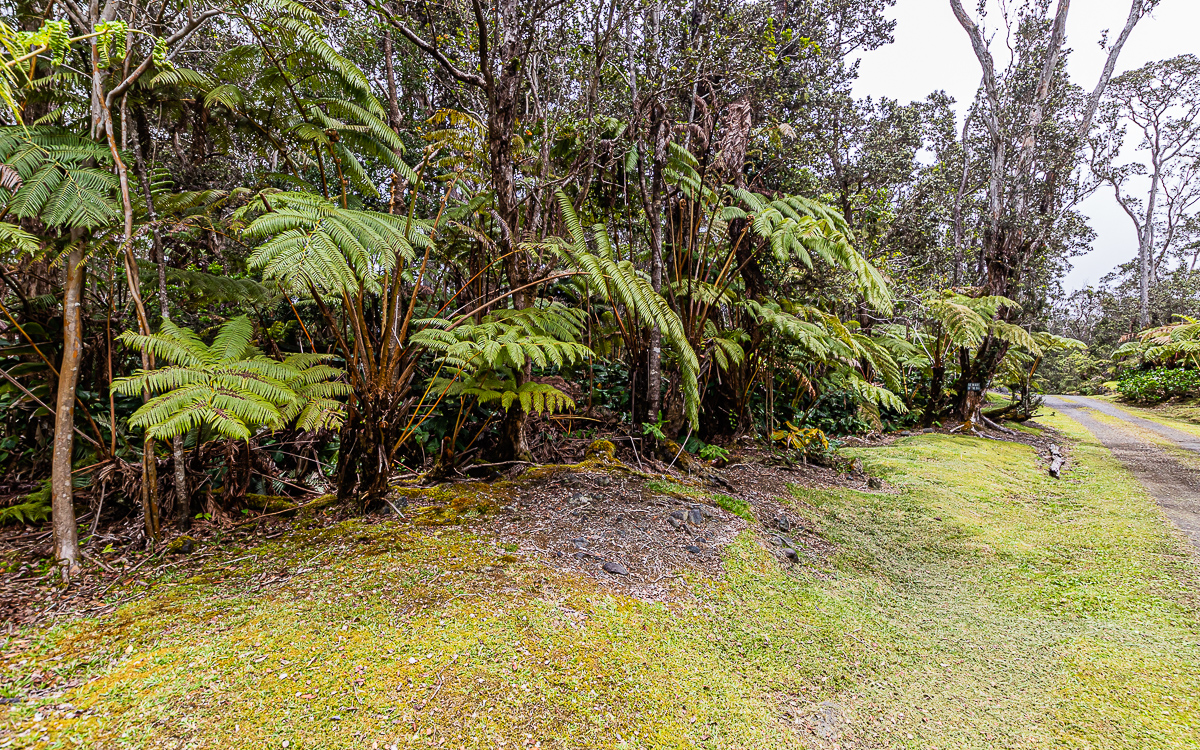 19-4132 Wright Road, Unit A Volcano, HI 96785 - Photo 3 of 9