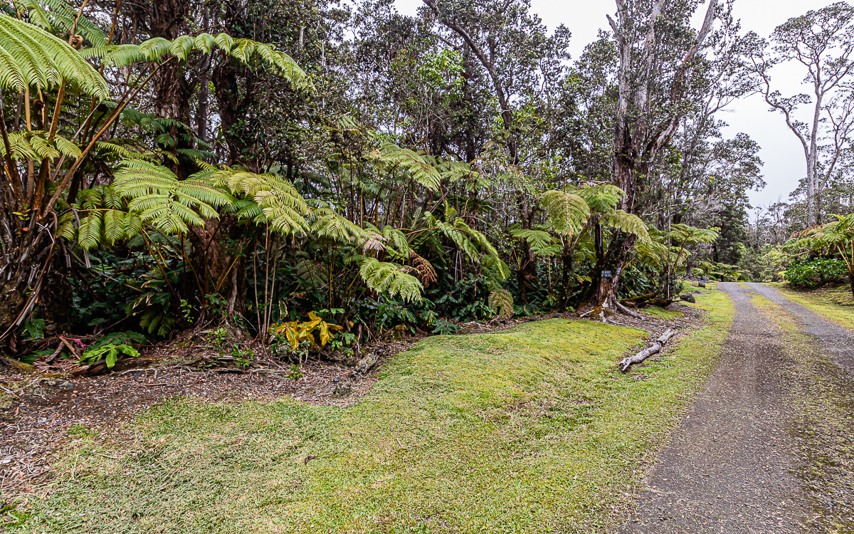 19-4132 Wright Road, Unit A Volcano, HI 96785 - Photo 4 of 9
