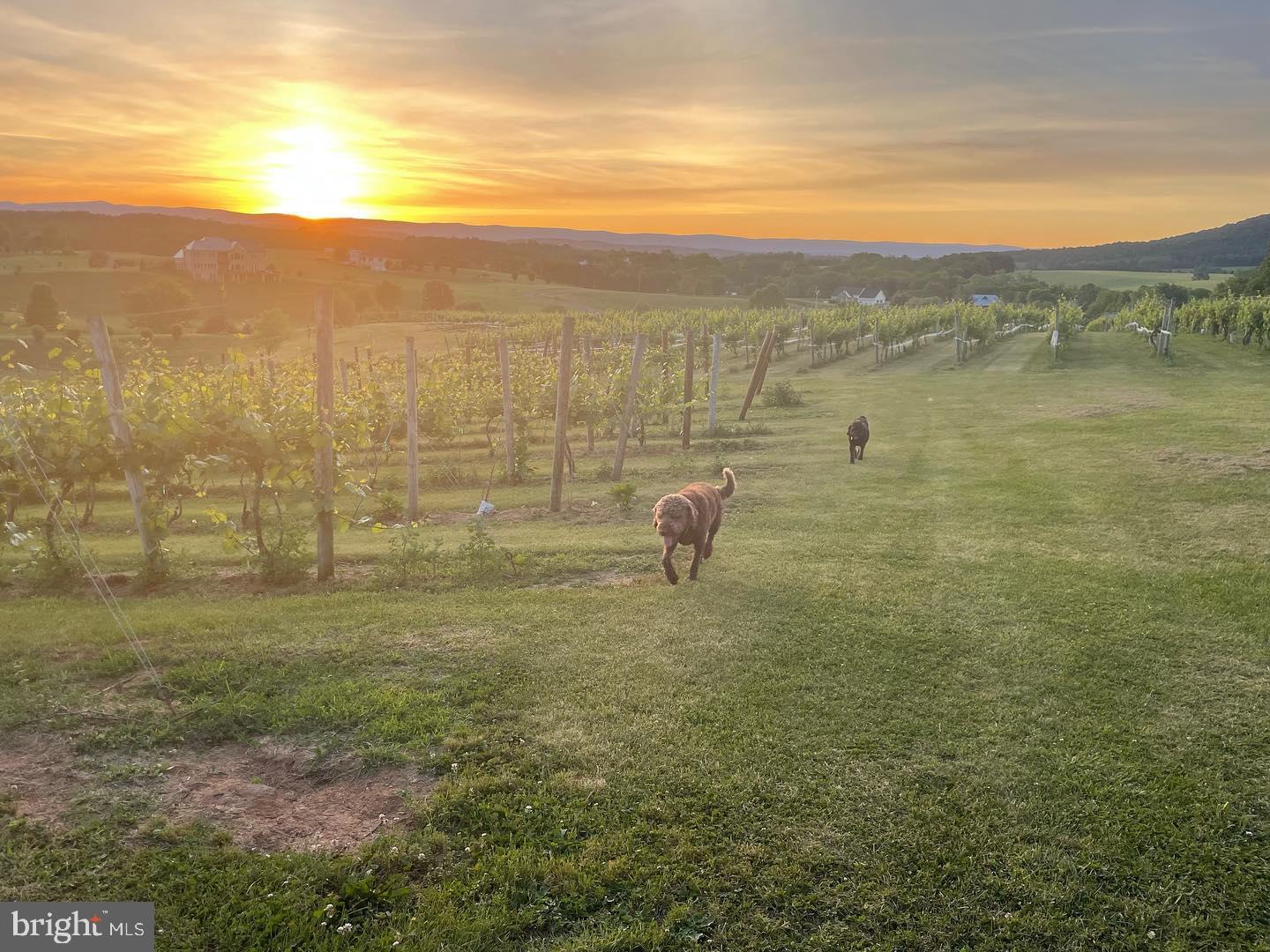 a view of a lake view