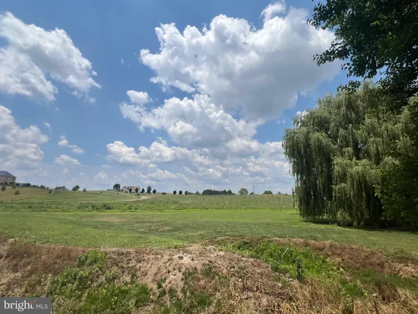 a view of a tree with a yard