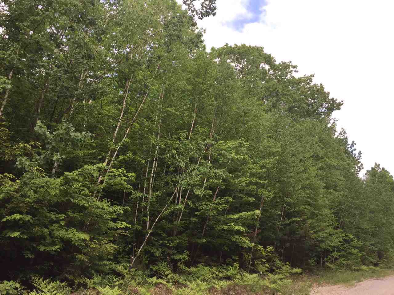 Lot 53 Province Brook Estates Road Center Conway, NH 03813 - Photo 3 of 3 Gallery Image 3
