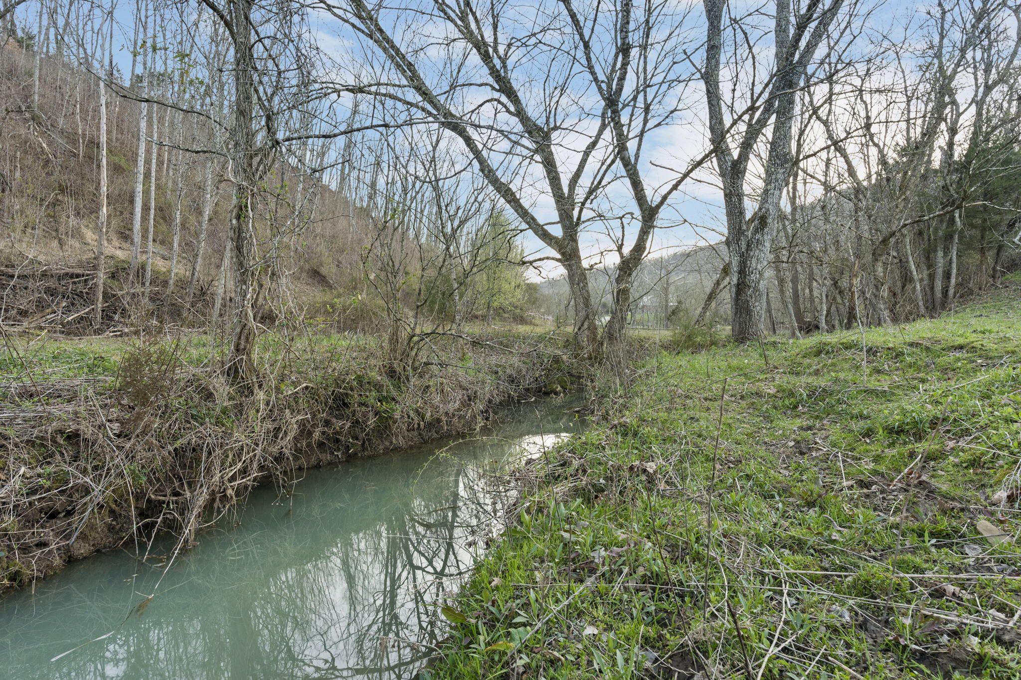 Tbd Taylor Road Fall Branch, TN 37656 - Photo 35 of 39 29-web-or-mls-DSC02575