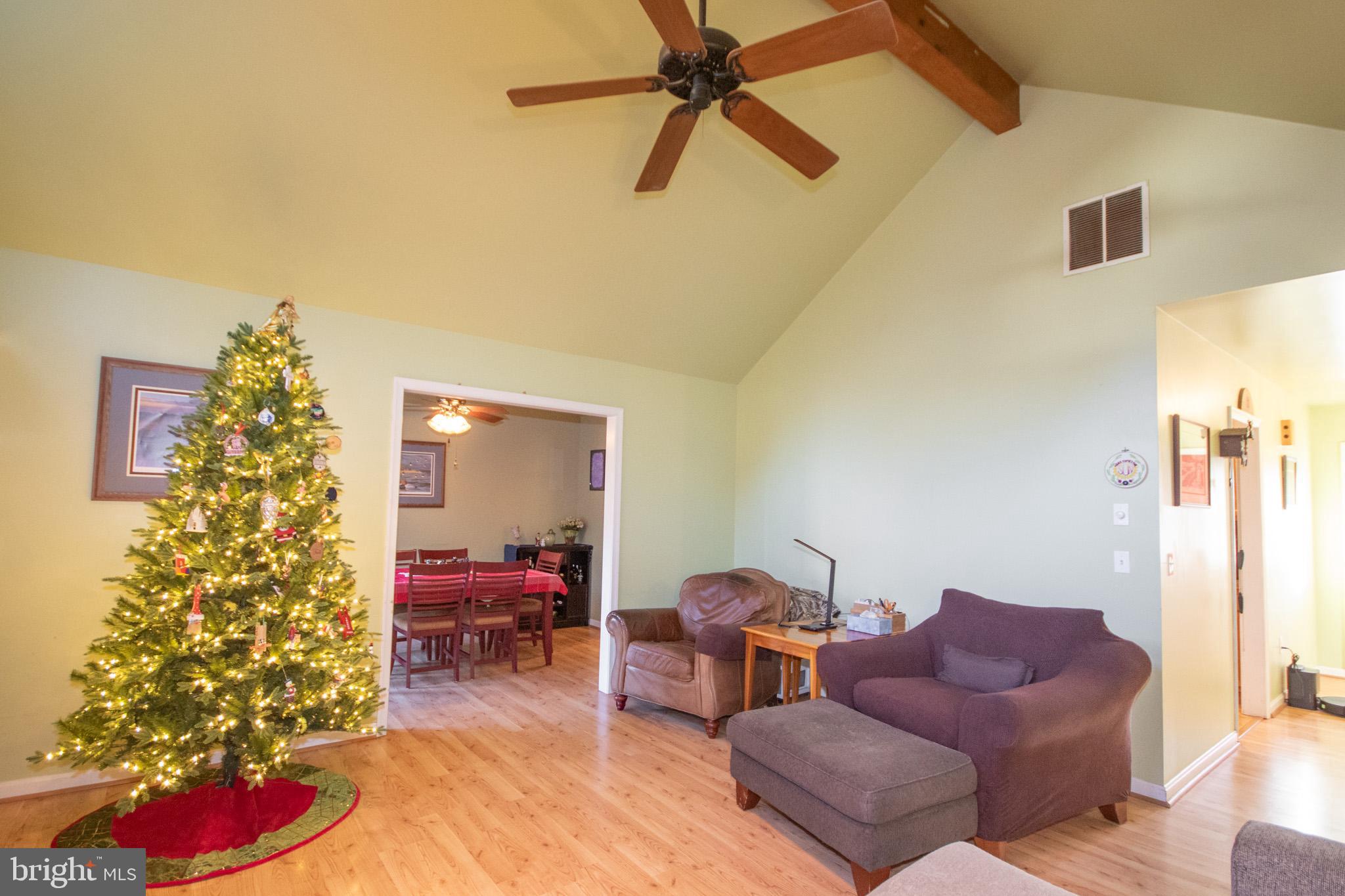5520 Cedarcrest Road Salisbury, MD 21801 - Photo 11 of 41 a living room with furniture and a potted plant