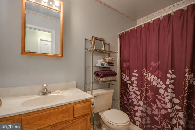 a bathroom with a sink a toilet and shower curtain