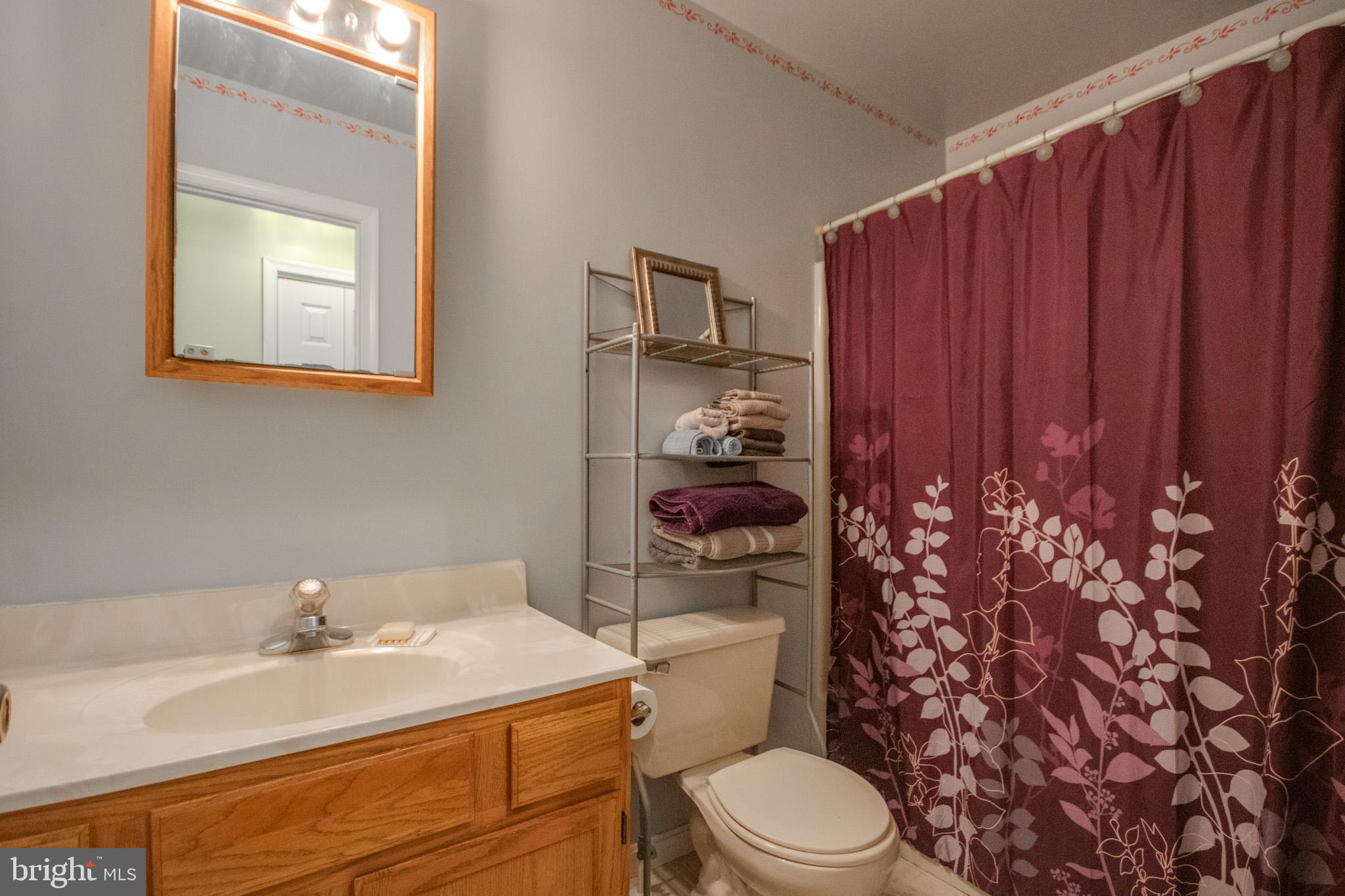 5520 Cedarcrest Road Salisbury, MD 21801 - Photo 24 of 41 a bathroom with a sink a toilet and shower curtain