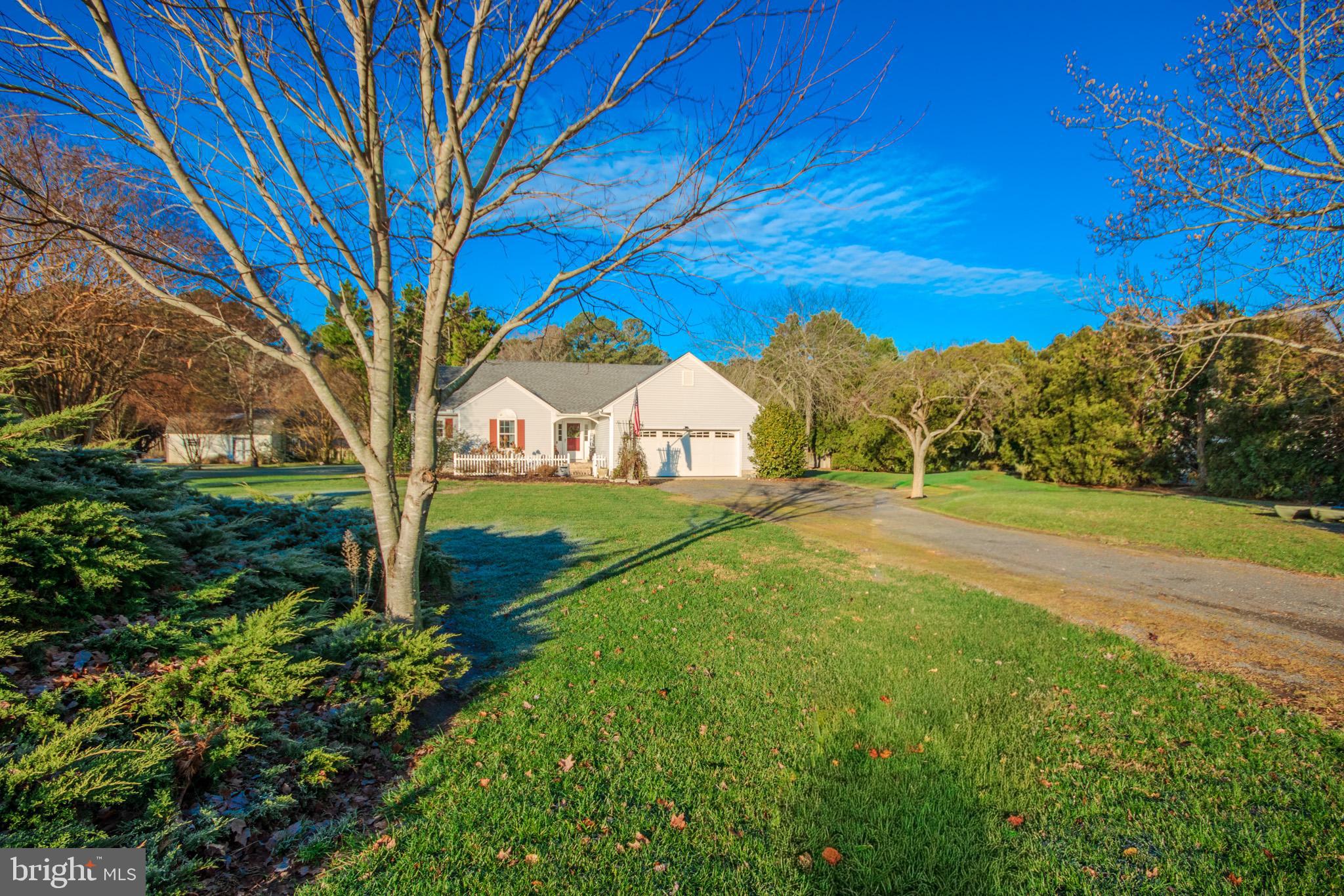 5520 Cedarcrest Road Salisbury, MD 21801 - Photo 5 of 41 a view of a house with backyard and tree