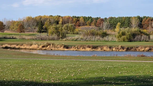 a view of a field with an trees