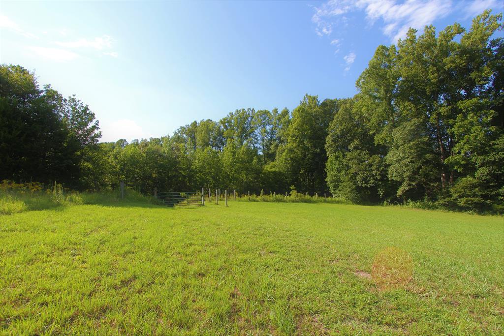 Crumptown Road Farmville, VA 23901 - Photo 10 of 32 Gallery Image 10