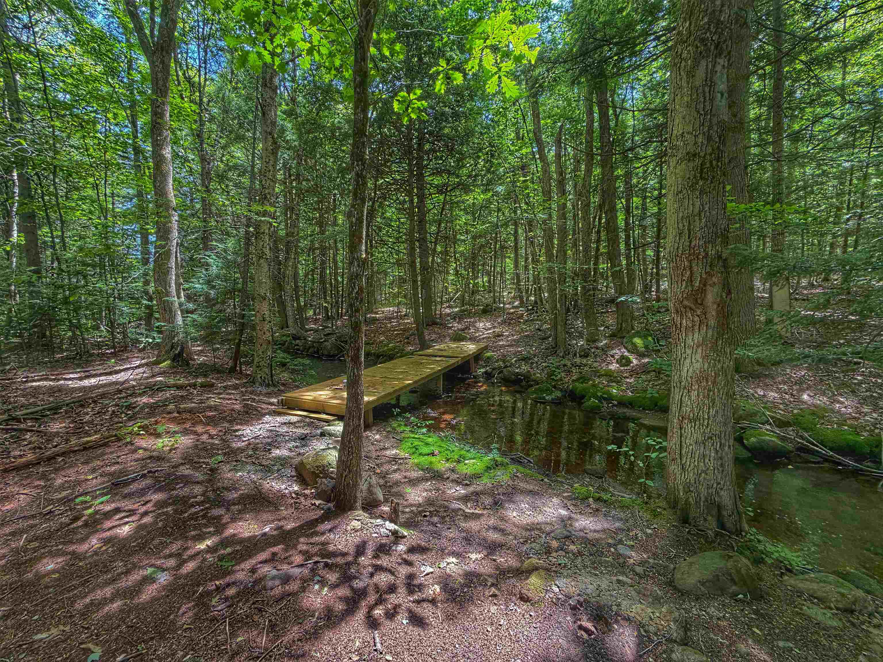 1238 Valley Road Washington, NH 03280 - Photo 10 of 42