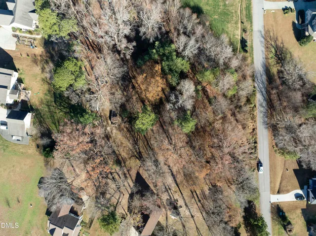 a view of a yard with plants and large trees