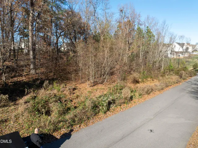 a view of a yard with plants and wooden fence