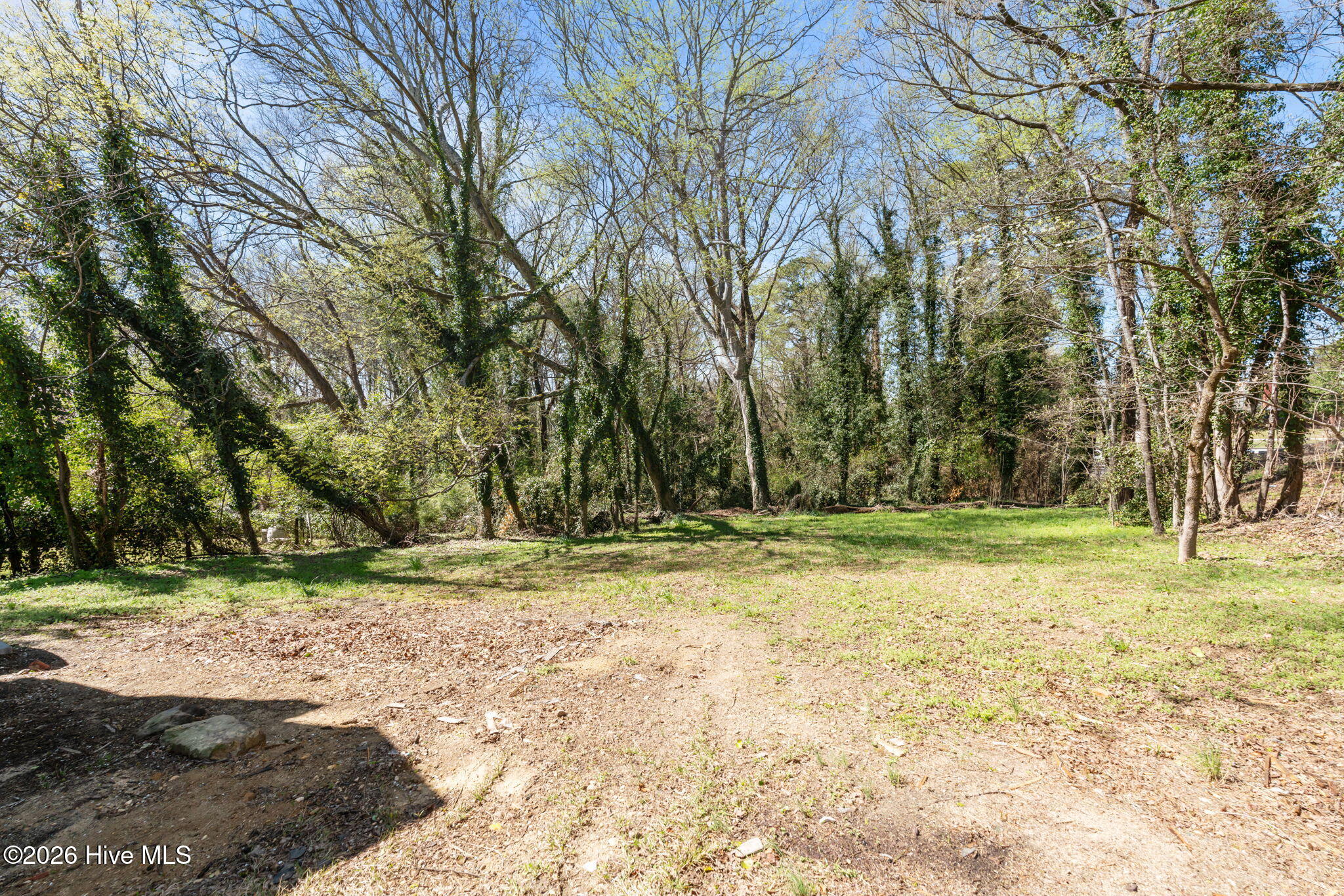 206 Dowd Road Carthage, NC 28327 - Photo 46 of 54 31-web-or-mls-DSC08850