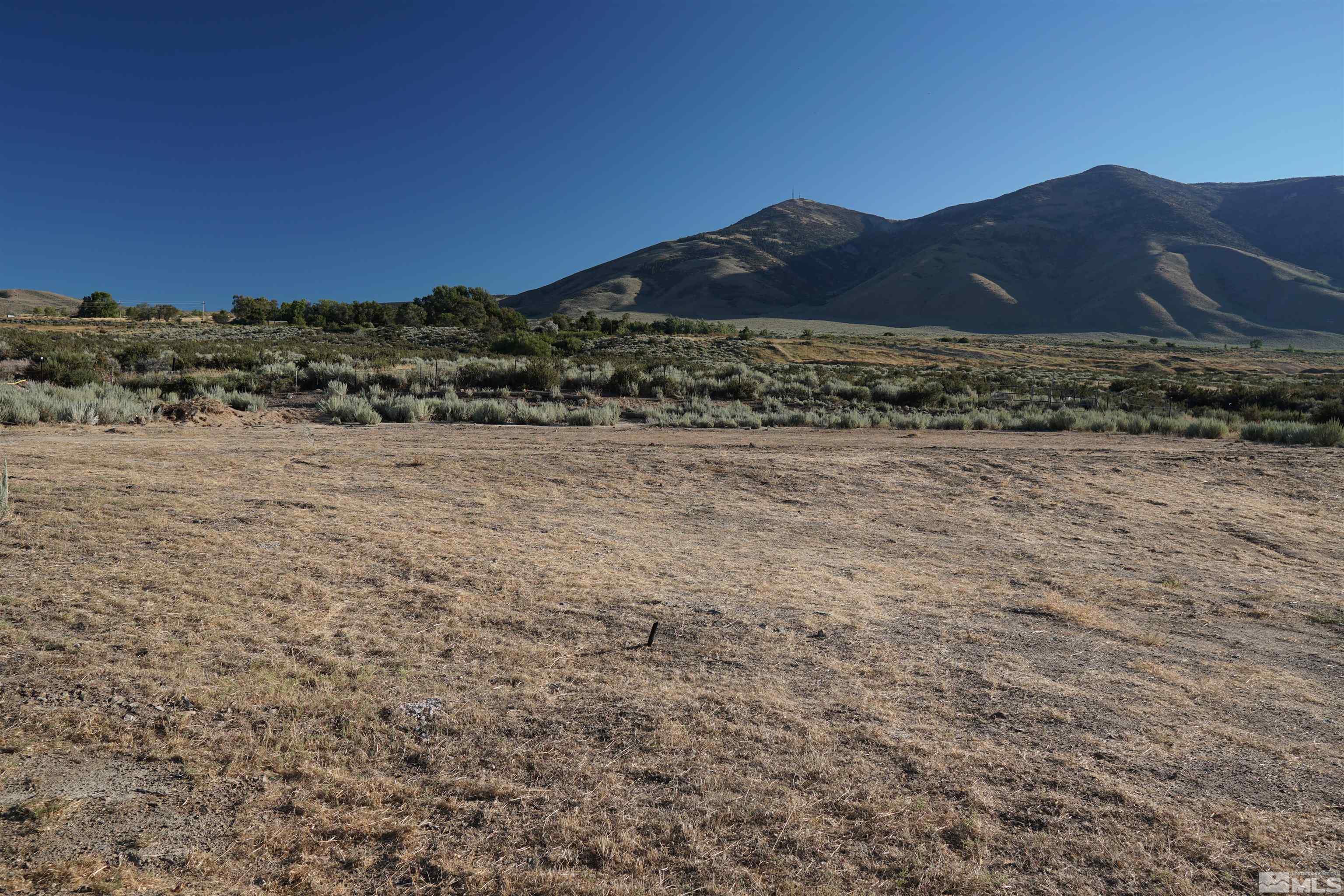 10250 Trail Drive Reno, NV 89506 - Photo 29 of 40 Photo 29