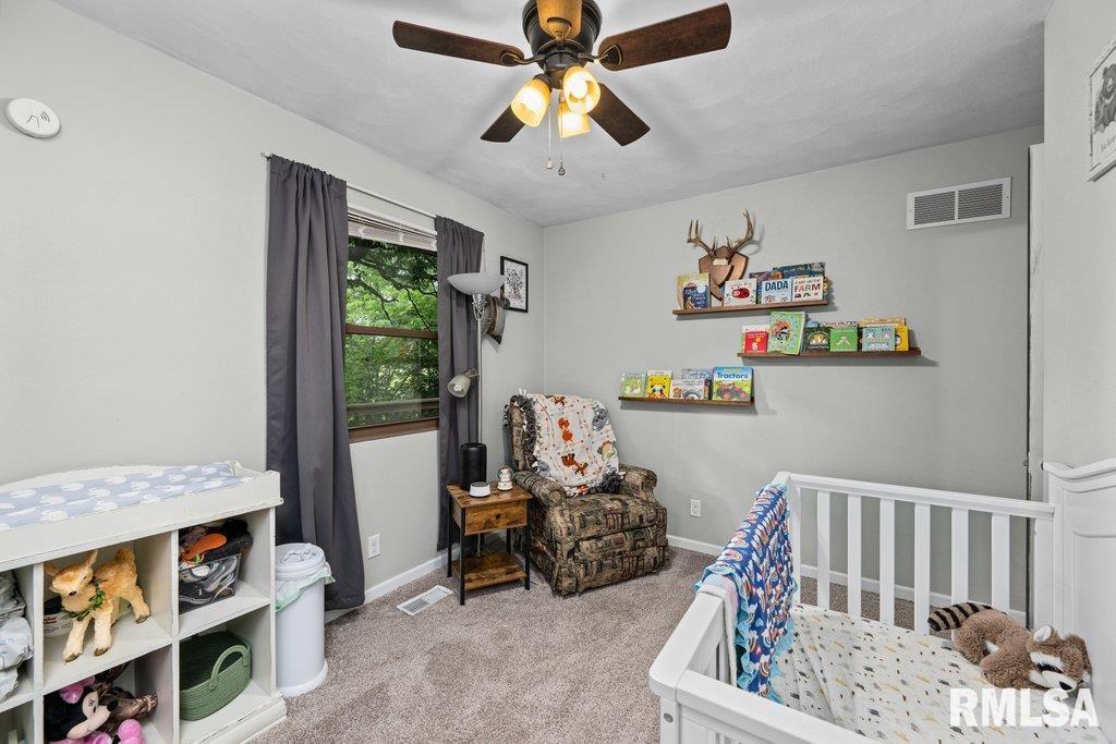 318 Fairfield Road Port Byron, IL 61275 - Photo 14 of 30 Gallery Image 14