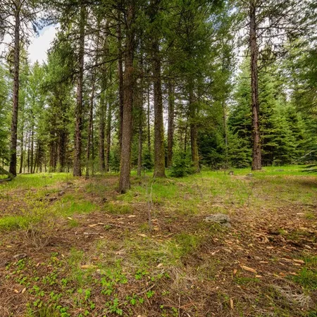 $400,000 | Lot 19 To Be Determined, Unit 19, McCall, ID 83638