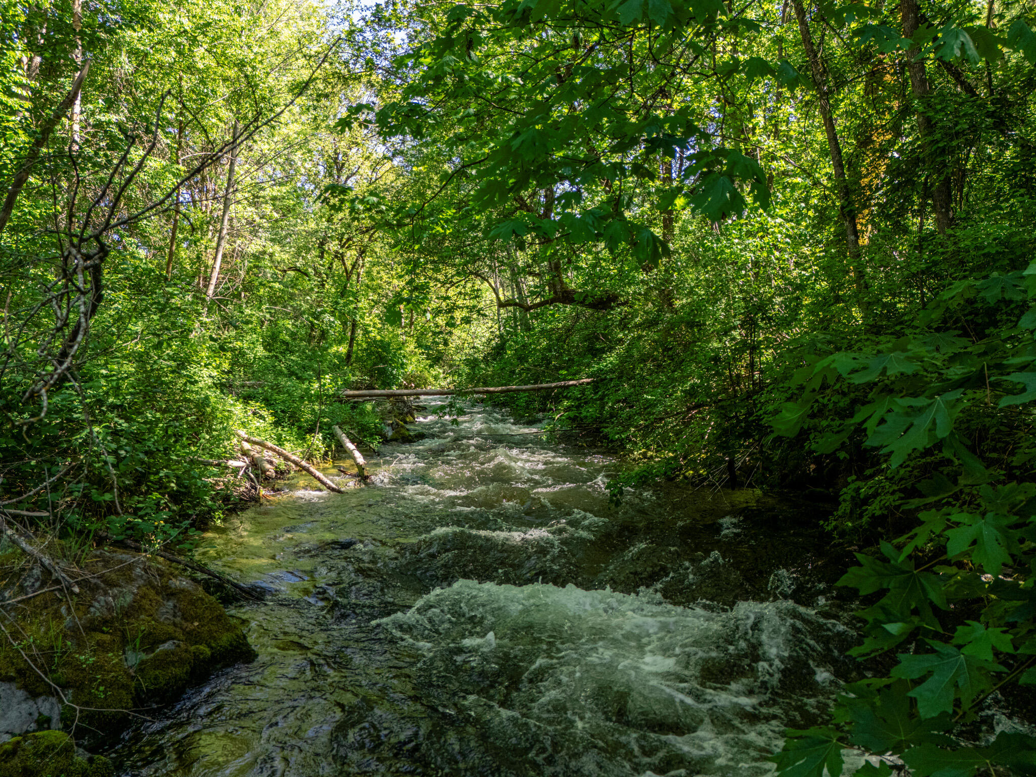 6180 Little Applegate Road Jacksonville, OR 97530 - Photo 3 of 59 DJI_20250520155902_0390_D-HDR
