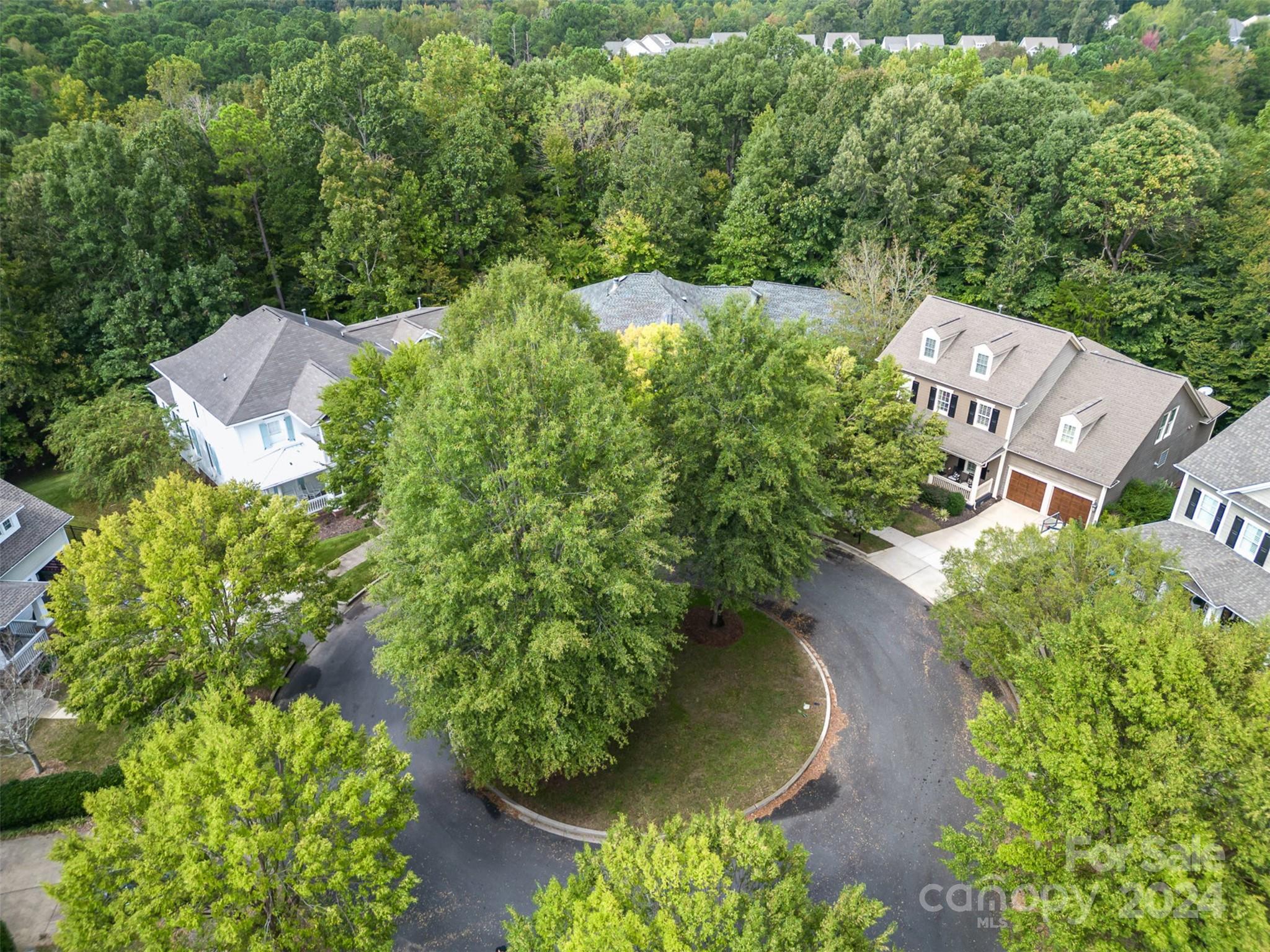 5324 Maddox Court Fort Mill, SC 29708 - Photo 45 of 48 an aerial view of a house with a yard