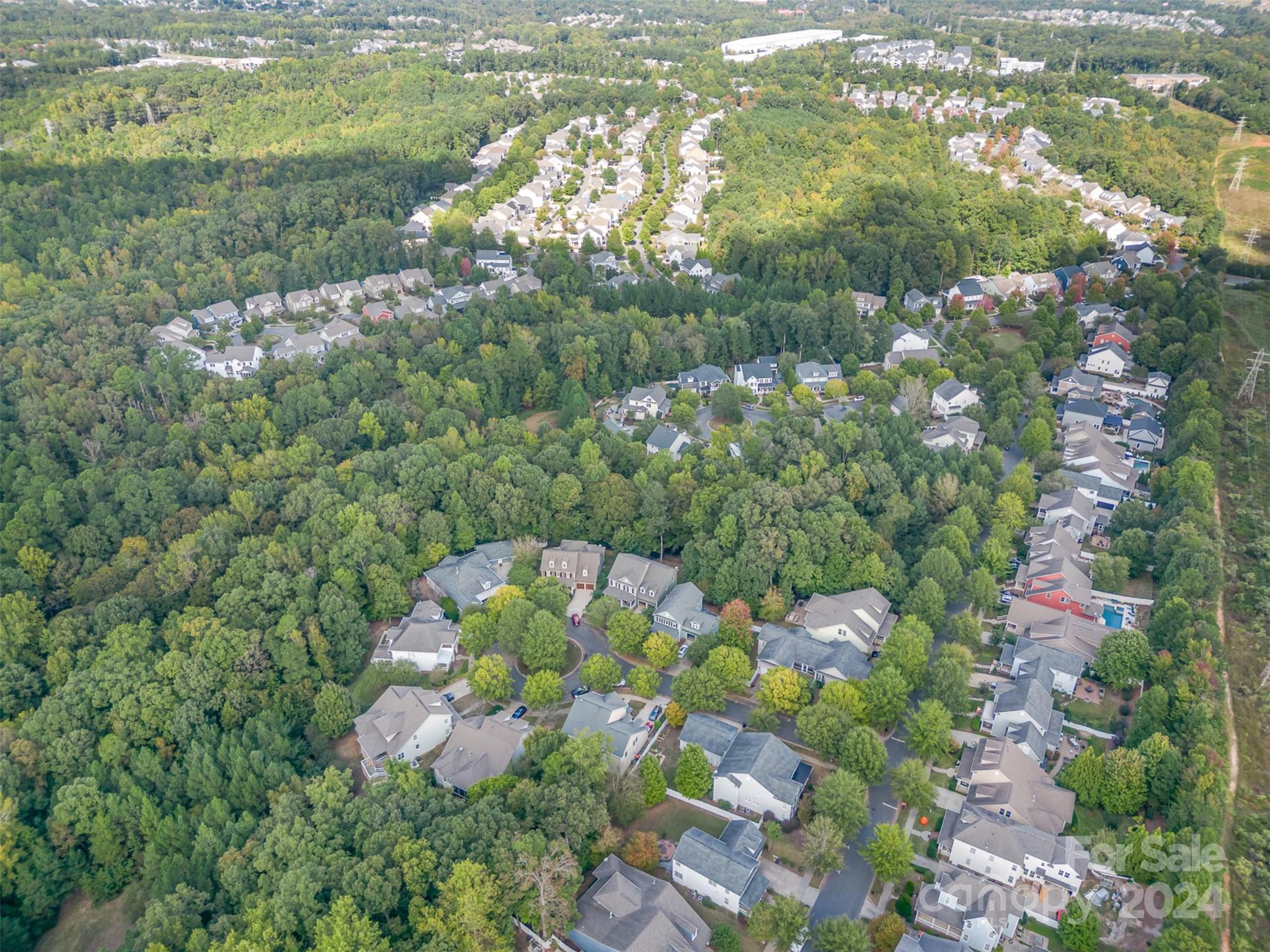 5324 Maddox Court Fort Mill, SC 29708 - Photo 48 of 48 a bunch of flowers and trees in the background
