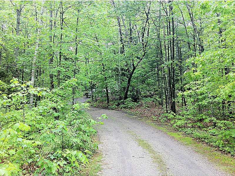 565 Blackstrap Road Falmouth, ME 04105 - Photo 24 of 25 Yard/Garden. Driveway view in spring