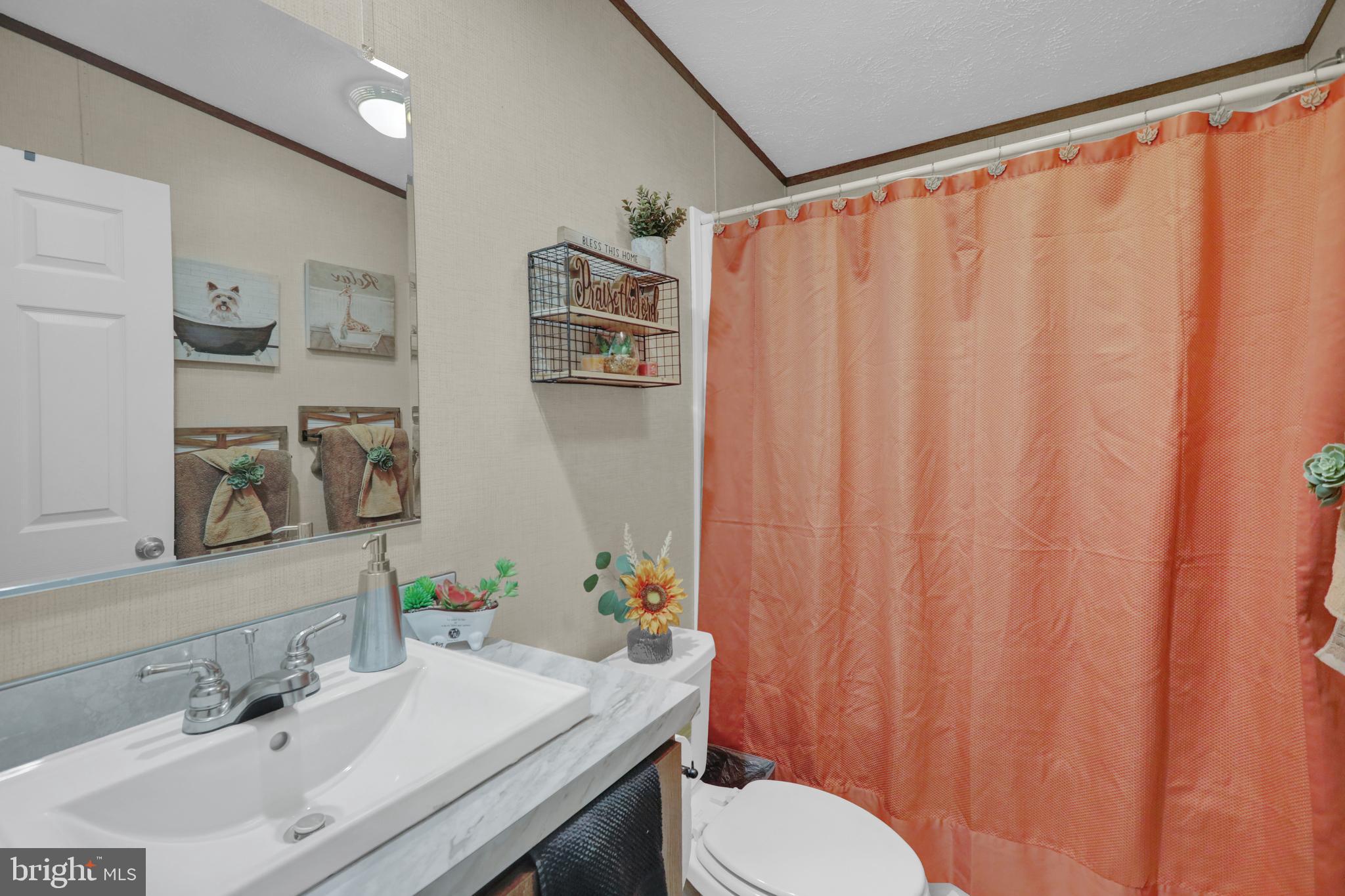 21 Keystone Road Reading, PA 19606 - Photo 17 of 22 a bathroom with a sink a toilet and shower curtain