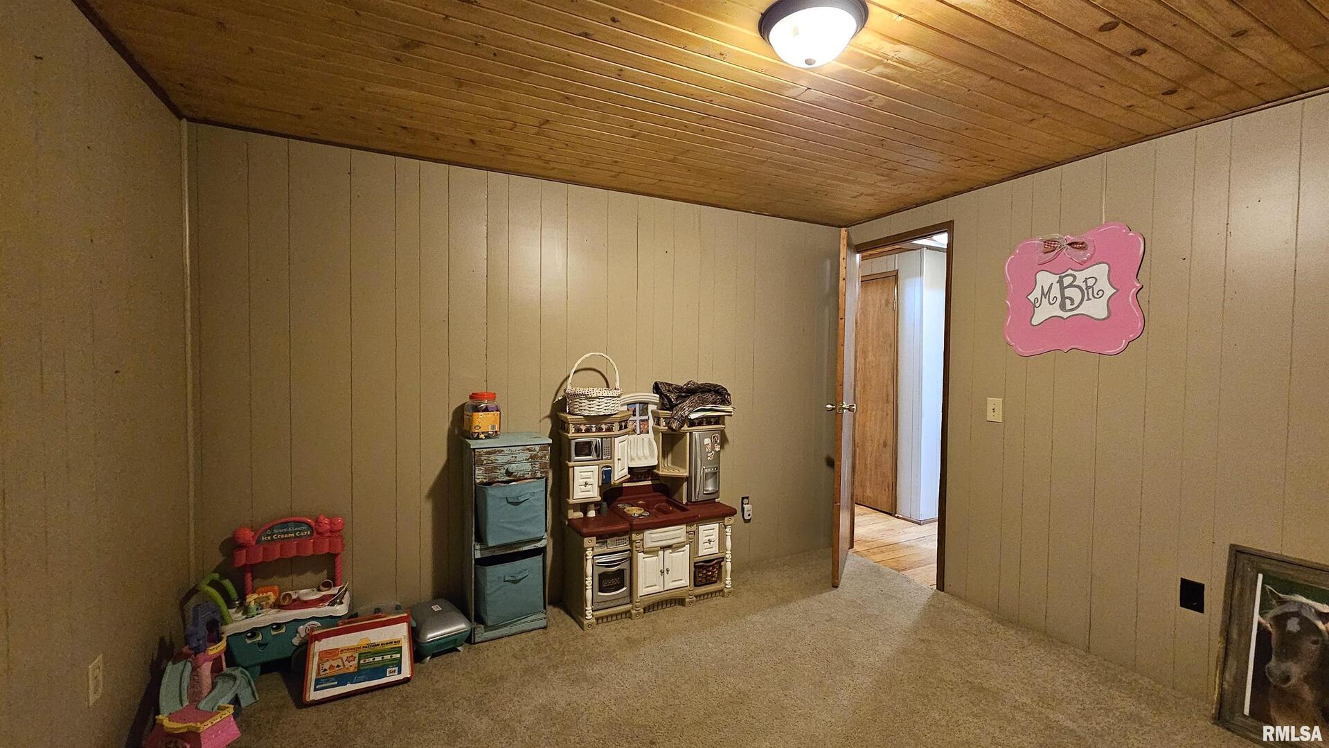 14228 Lake Of Egypt Road Marion, IL 62959 - Photo 9 of 41